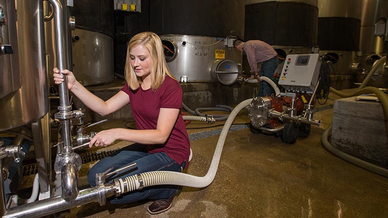 Students work with equipment in a brewing facility.