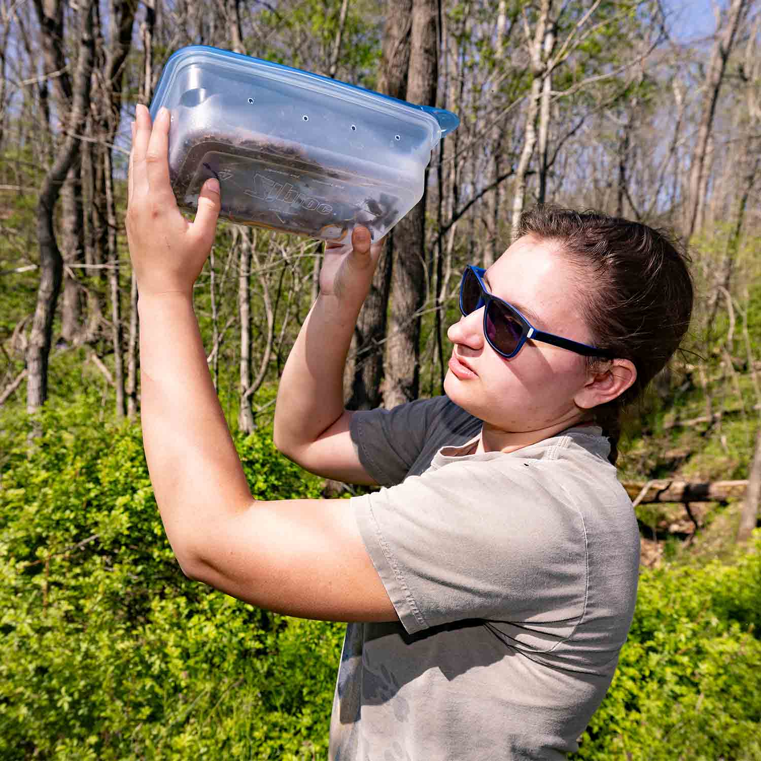 A biology student carries specimen samples in a container during a herpetology field trip at Wire Road Conservation Area.